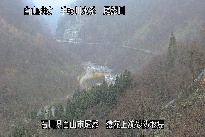 猿花 のカメラ画像