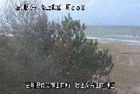 根上海岸 のカメラ画像