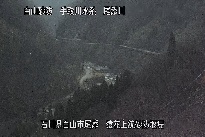 猿花 のカメラ画像