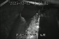 坂尻 のカメラ画像