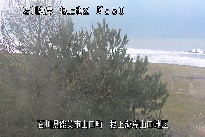 根上海岸 のカメラ画像