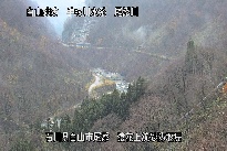 猿花 のカメラ画像