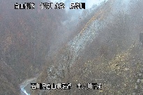 中ノ川下流 のカメラ画像