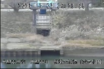 敷地天神橋(愛宕水門) のカメラ画像