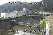 転倒堰 のカメラ画像