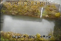 多喜尾橋 のカメラ画像