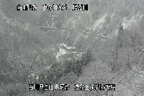 猿花 のカメラ画像