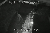 坂尻 のカメラ画像