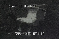 瀬戸堰堤 のカメラ画像