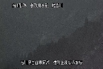 猿花 のカメラ画像