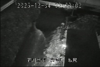 坂尻 のカメラ画像