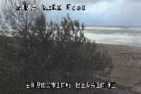 根上海岸 のカメラ画像