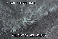 猿花 のカメラ画像