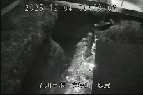 坂尻 のカメラ画像