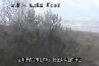 根上海岸 のカメラ画像