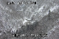 猿花 のカメラ画像