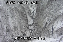 中ノ川中流 のカメラ画像