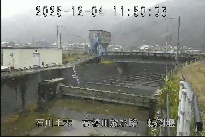 転倒堰 のカメラ画像