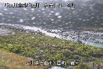 鶴来 のカメラ画像