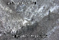 猿花 のカメラ画像