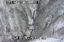 中ノ川中流 のカメラ画像