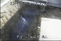 坂尻 のカメラ画像