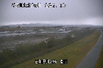 左岸朝日 のカメラ画像