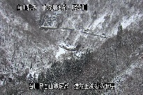 猿花 のカメラ画像