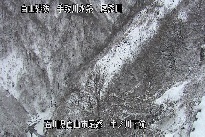 中ノ川下流 のカメラ画像