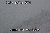 猿花 のカメラ画像