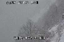 中ノ川下流 のカメラ画像