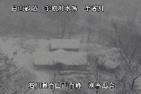 別当出合 のカメラ画像