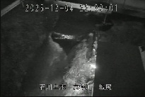 坂尻 のカメラ画像