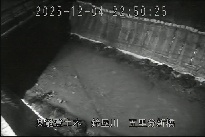 五里分新橋 のカメラ画像