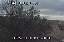 根上海岸 のカメラ画像