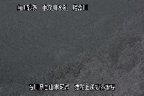 猿花 のカメラ画像