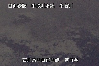 河内谷 のカメラ画像