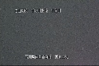 柳谷上流 のカメラ画像