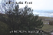 根上海岸 のカメラ画像