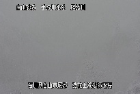 猿花 のカメラ画像