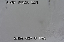 中ノ川中流 のカメラ画像