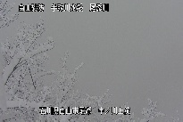 中ノ川上流 のカメラ画像