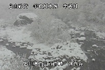 河内谷 のカメラ画像