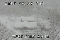 別当出合 のカメラ画像