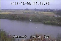 猫橋 のカメラ画像