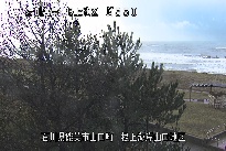 根上海岸 のカメラ画像