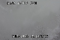 猿花 のカメラ画像