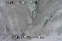 中ノ川中流 のカメラ画像