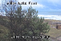 根上海岸 のカメラ画像