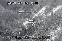 猿花 のカメラ画像